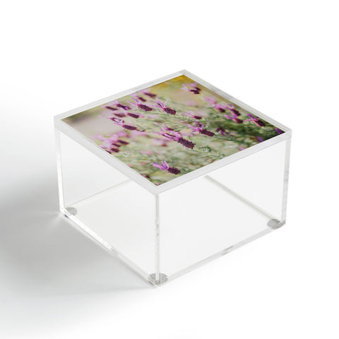 Hello Twiggs Sunset Lavender Acrylic Box