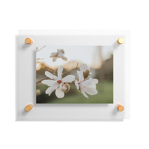 Hello Twiggs Sunset Magnolias Floating Acrylic Print