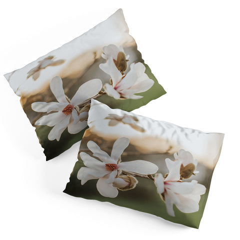 Hello Twiggs Sunset Magnolias Pillow Shams