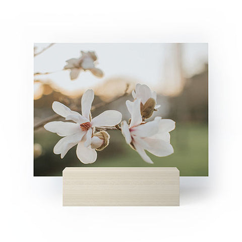Hello Twiggs Sunset Magnolias Mini Art Print