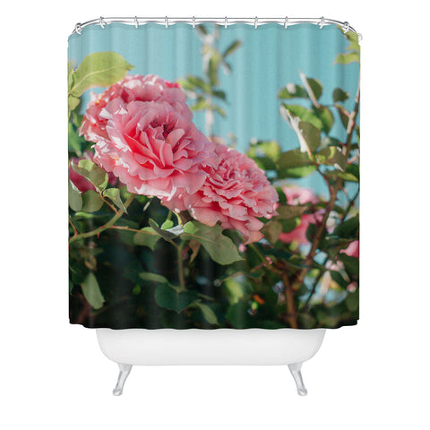 Hello Twiggs Vintage Roses Shower Curtain