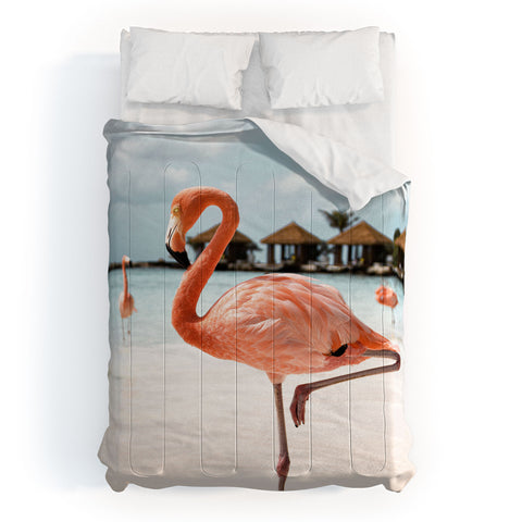Henrike Schenk - Travel Photography Pink Flamingo Beach Photo Aruba Island Tropical Summer Bird Comforter