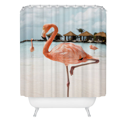 Henrike Schenk - Travel Photography Pink Flamingo Beach Photo Aruba Island Tropical Summer Bird Shower Curtain