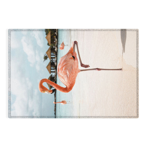 Henrike Schenk - Travel Photography Pink Flamingo Beach Photo Aruba Island Tropical Summer Bird Outdoor Rug