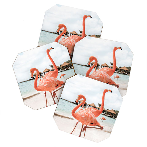 Henrike Schenk - Travel Photography Pink Flamingos On Aruba Island Coaster Set