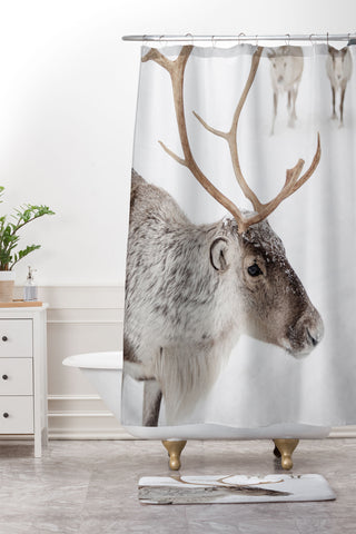 Henrike Schenk - Travel Photography Reindeer With Antlers Art Print Tromso Norway Animal Snow Photo Shower Curtain And Mat