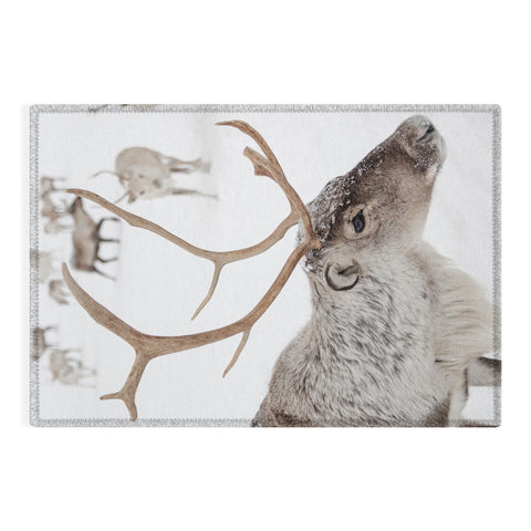 Henrike Schenk - Travel Photography Reindeer With Antlers Art Print Tromso Norway Animal Snow Photo Outdoor Rug