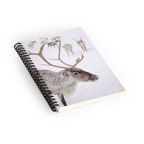 Henrike Schenk - Travel Photography Reindeer With Antlers Art Print Tromso Norway Animal Snow Photo Spiral Notebook