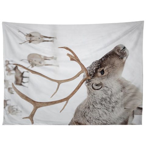Henrike Schenk - Travel Photography Reindeer With Antlers Art Print Tromso Norway Animal Snow Photo Tapestry
