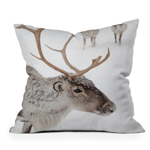 Henrike Schenk - Travel Photography Reindeer With Antlers Art Print Tromso Norway Animal Snow Photo Throw Pillow