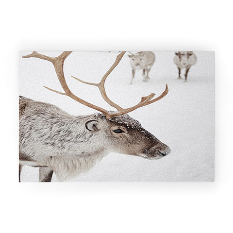 Henrike Schenk - Travel Photography Reindeer With Antlers Art Print Tromso Norway Animal Snow Photo Welcome Mat