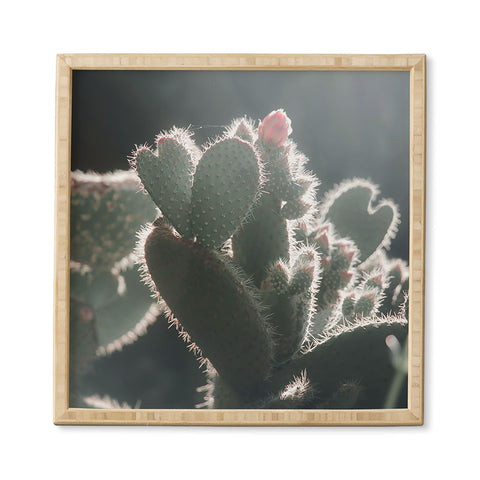 Ingrid Beddoes cactus love Framed Wall Art
