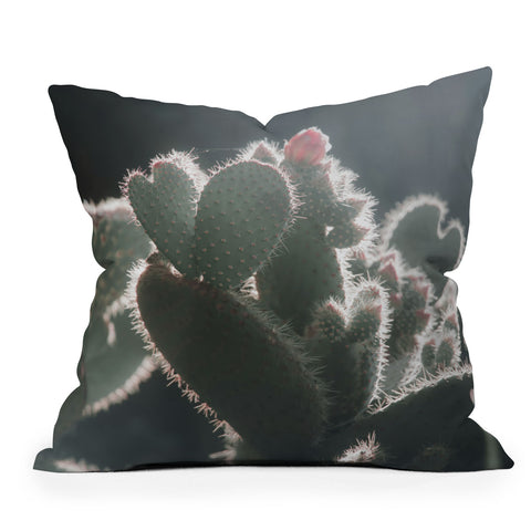 Ingrid Beddoes cactus love Throw Pillow