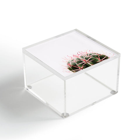 Ingrid Beddoes cactus red Acrylic Box