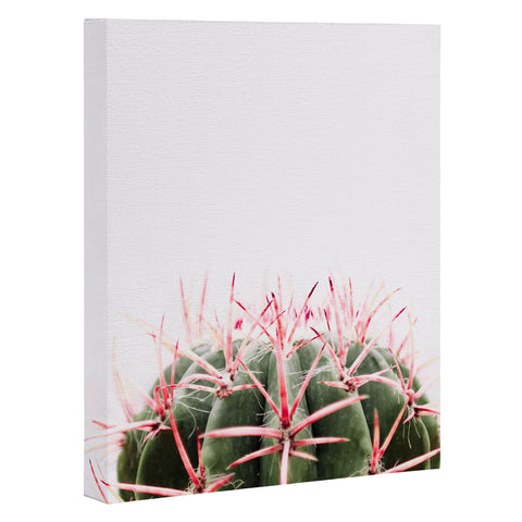 Ingrid Beddoes cactus red Art Canvas
