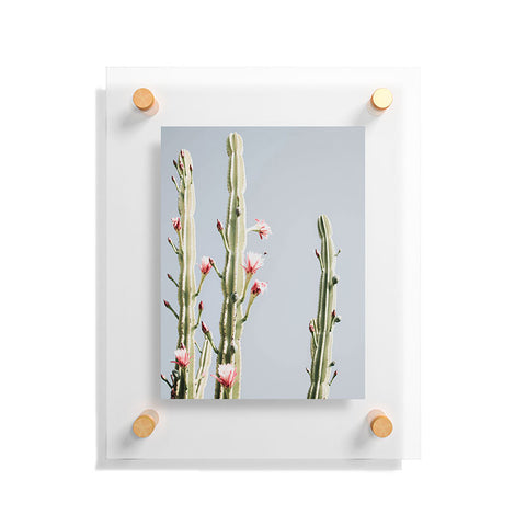 Ingrid Beddoes Cereus Cactus Blush Desert Cactus Floating Acrylic Print