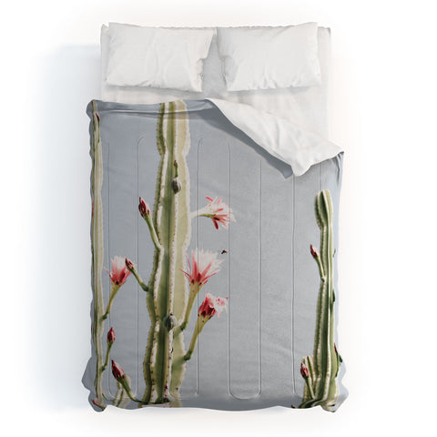 Ingrid Beddoes Cereus Cactus Blush Desert Cactus Comforter