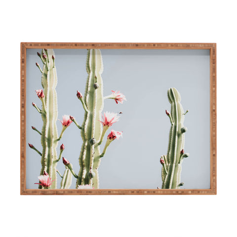 Ingrid Beddoes Cereus Cactus Blush Desert Cactus Rectangular Tray