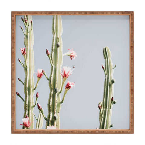 Ingrid Beddoes Cereus Cactus Blush Desert Cactus Square Tray