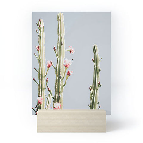 Ingrid Beddoes Cereus Cactus Blush Desert Cactus Mini Art Print