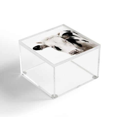 Ingrid Beddoes Domino Acrylic Box