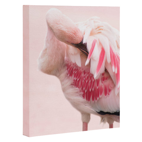 Ingrid Beddoes flamingo love Art Canvas