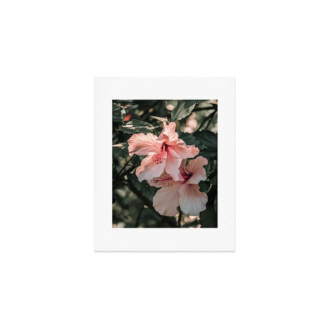 Ingrid Beddoes Hibiscus Flowers Art Print