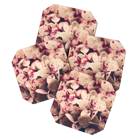 Ingrid Beddoes Hydrangea Pink Freckels Coaster Set