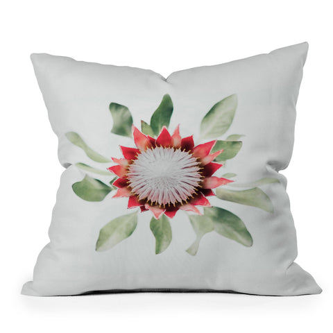 Ingrid Beddoes King Protea flower II Throw Pillow