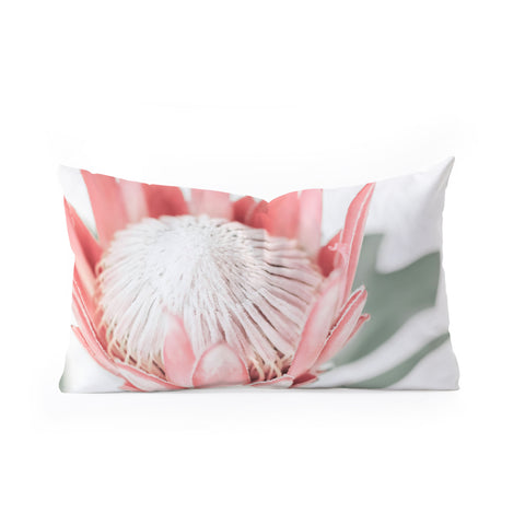 Ingrid Beddoes King Protea flower III Oblong Throw Pillow