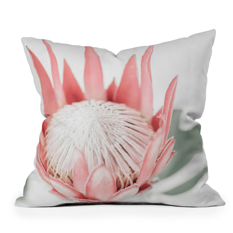 Ingrid Beddoes King Protea flower III Throw Pillow