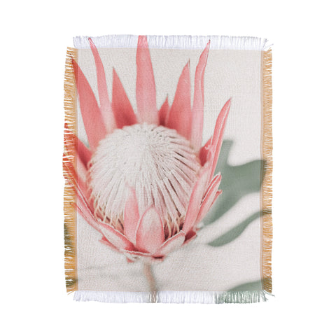 Ingrid Beddoes King Protea flower III Throw Blanket