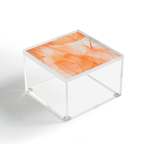 Ingrid Beddoes Orange marmalade Acrylic Box