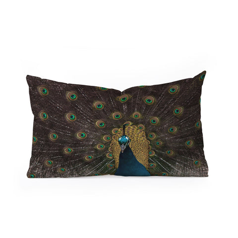 Ingrid Beddoes Peacock and proud III Oblong Throw Pillow
