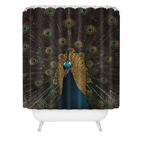 Ingrid Beddoes Peacock and proud III Shower Curtain