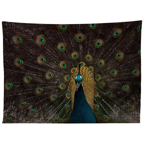 Ingrid Beddoes Peacock and proud III Tapestry