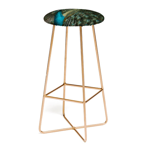 Ingrid Beddoes Peacock and proud IV Bar Stool