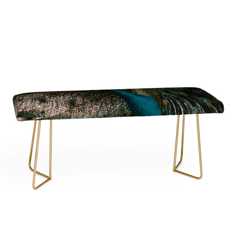 Ingrid Beddoes Peacock and proud IV Bench