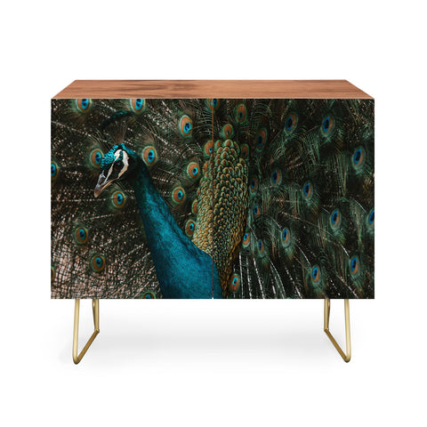 Ingrid Beddoes Peacock and proud IV Credenza