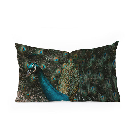 Ingrid Beddoes Peacock and proud IV Oblong Throw Pillow