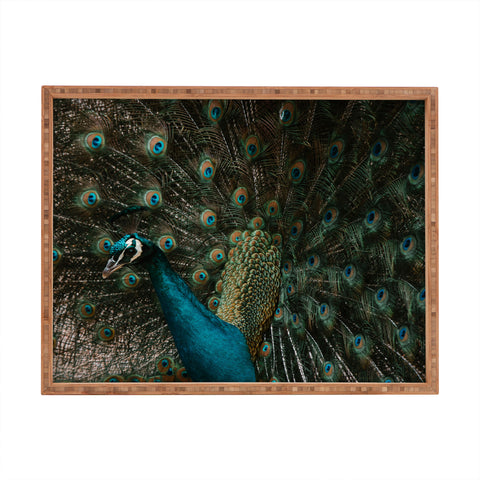Ingrid Beddoes Peacock and proud IV Rectangular Tray