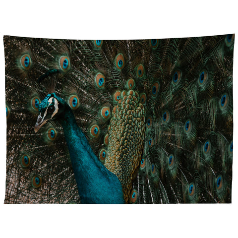 Ingrid Beddoes Peacock and proud IV Tapestry