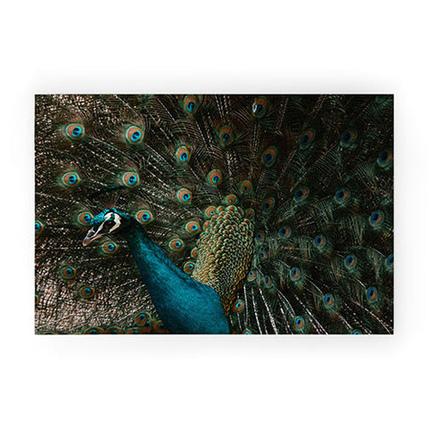 Ingrid Beddoes Peacock and proud IV Welcome Mat