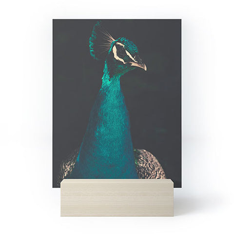 Ingrid Beddoes Peacock and Proud Mini Art Print