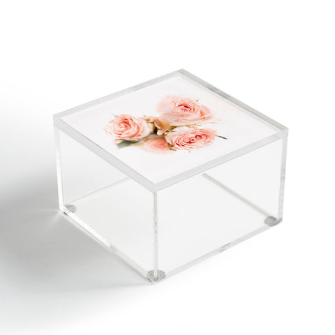 Ingrid Beddoes Rose pink lemonade Acrylic Box