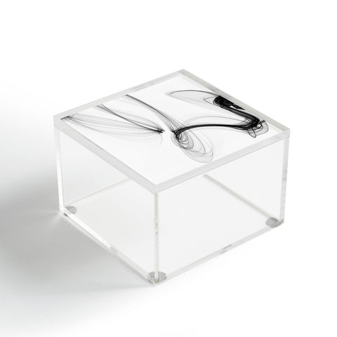 Irena Orlov Black and White Modern Minimal 86 Acrylic Box