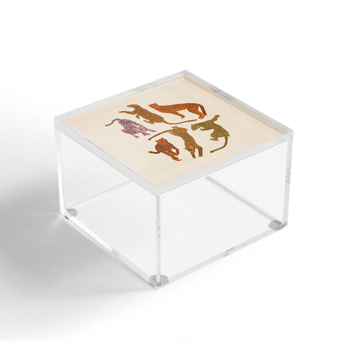 Iveta Abolina Adria Cheetahs Acrylic Box
