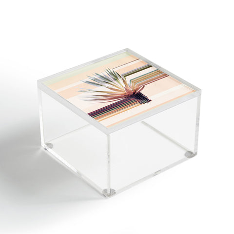 Iveta Abolina Agave Stripe Acrylic Box