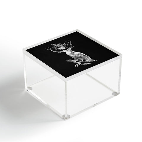 Iveta Abolina Deerbird Acrylic Box