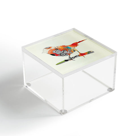 Iveta Abolina Little Bird Acrylic Box